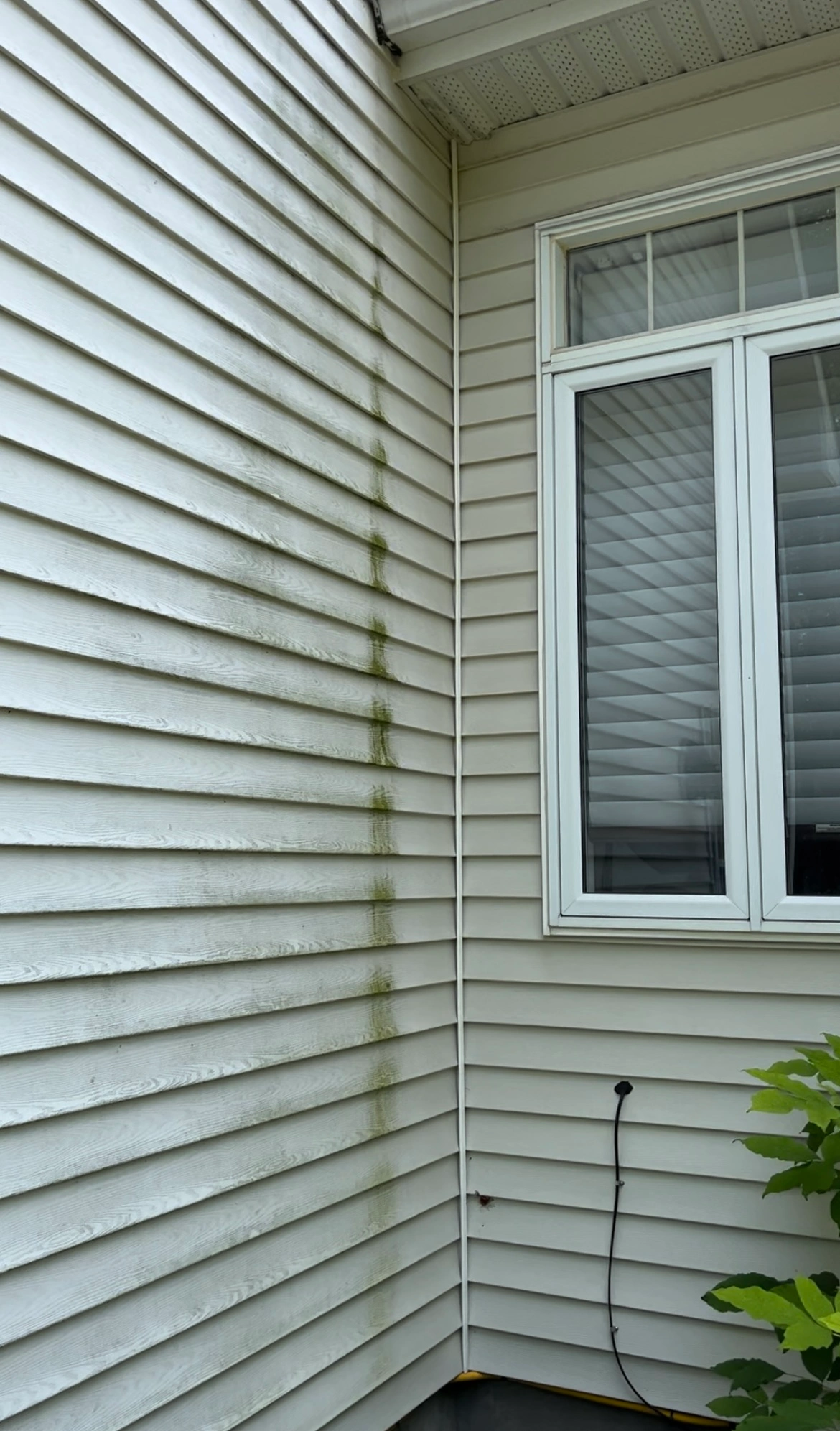 lavage du revêtement